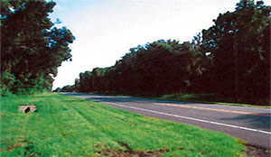 image of 5765 N Carl Rose Highway, Hernando, FL